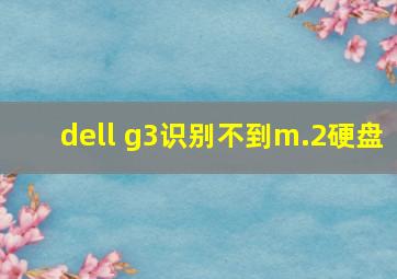 dell g3识别不到m.2硬盘